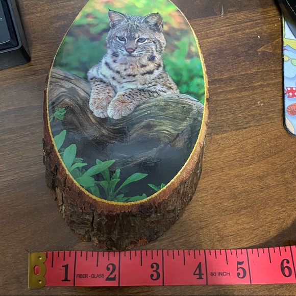 * LAST CHANCE* Ponderosa Ranch Bob Cat Log Slice Wall Art - Picture 6 of 6